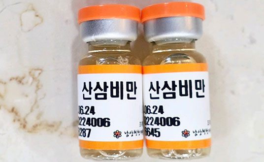산삼비만약침